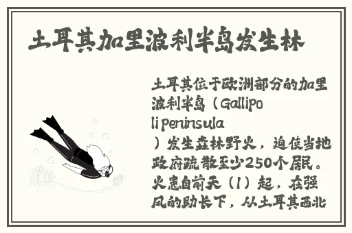 伽罗**ゃん的个性特点有哪些